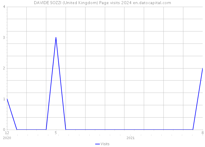 DAVIDE SOZZI (United Kingdom) Page visits 2024 