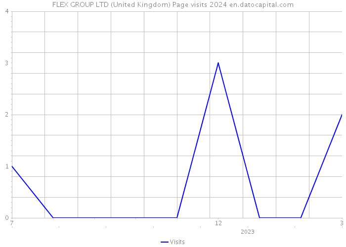 FLEX GROUP LTD (United Kingdom) Page visits 2024 