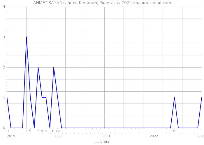 AHMET BAYAR (United Kingdom) Page visits 2024 