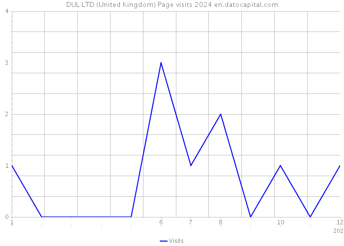 DUL LTD (United Kingdom) Page visits 2024 