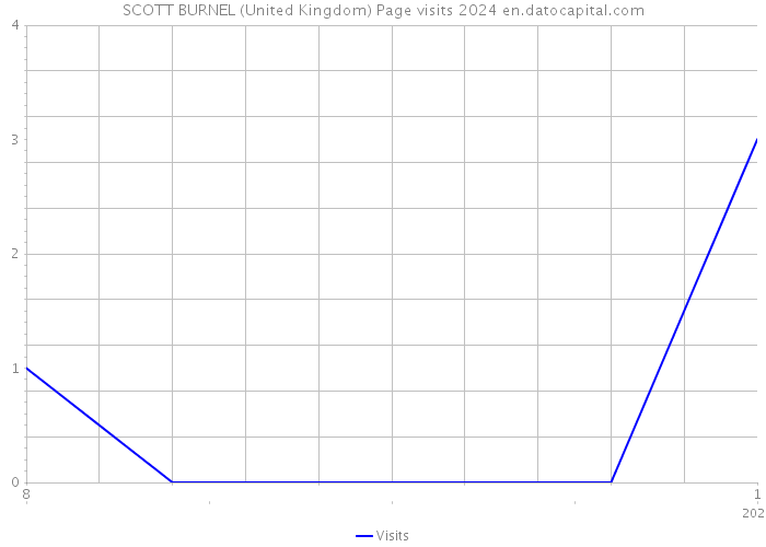 SCOTT BURNEL (United Kingdom) Page visits 2024 