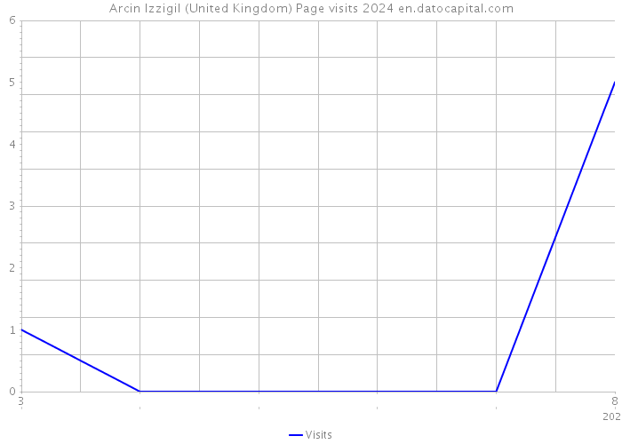 Arcin Izzigil (United Kingdom) Page visits 2024 
