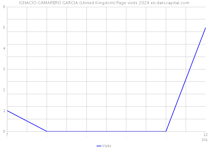 IGNACIO CAMARERO GARCIA (United Kingdom) Page visits 2024 