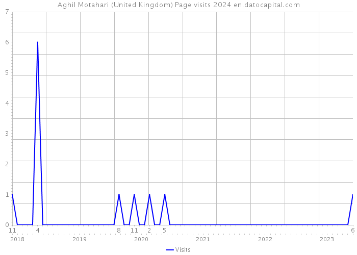 Aghil Motahari (United Kingdom) Page visits 2024 