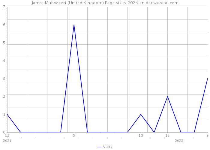 James Mubvekeri (United Kingdom) Page visits 2024 