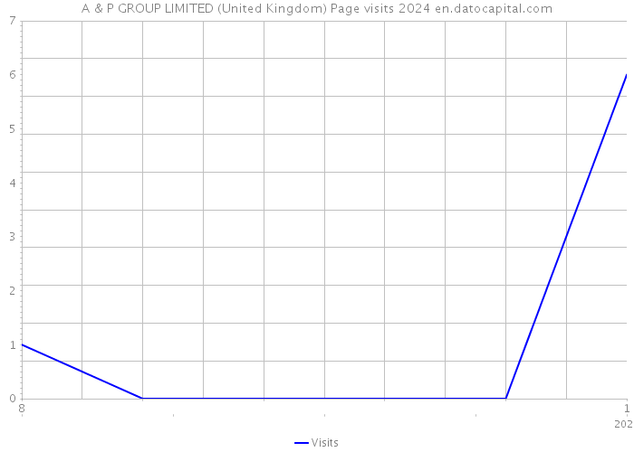 A & P GROUP LIMITED (United Kingdom) Page visits 2024 