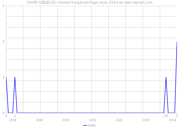 DAVID SZELECZKI (United Kingdom) Page visits 2024 