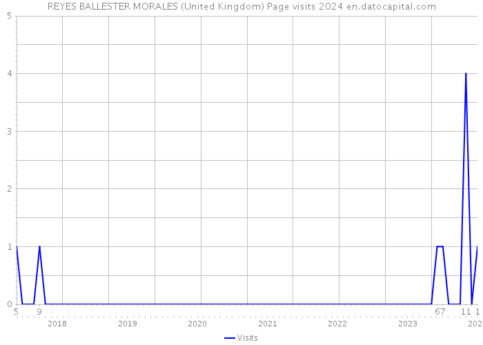 REYES BALLESTER MORALES (United Kingdom) Page visits 2024 