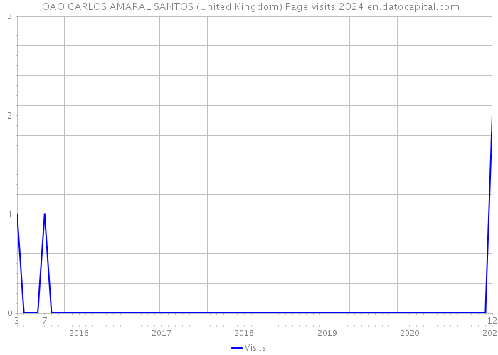 JOAO CARLOS AMARAL SANTOS (United Kingdom) Page visits 2024 