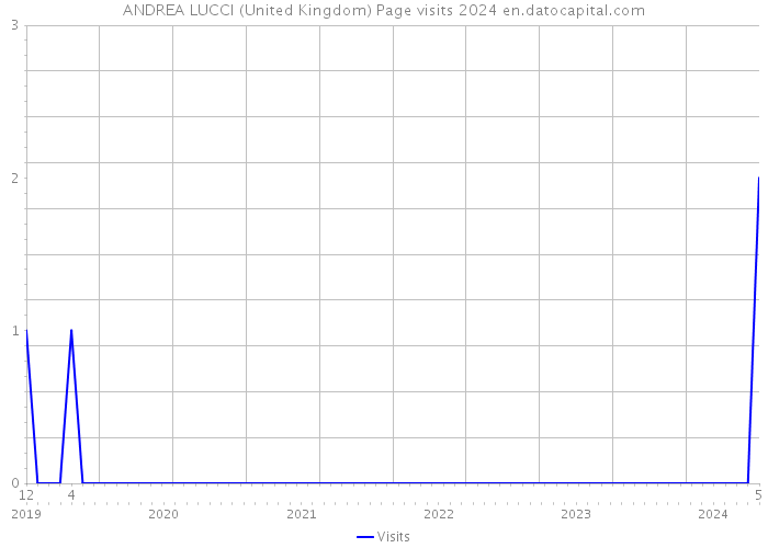 ANDREA LUCCI (United Kingdom) Page visits 2024 