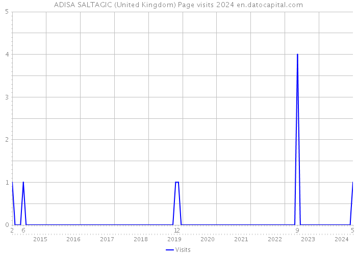 ADISA SALTAGIC (United Kingdom) Page visits 2024 