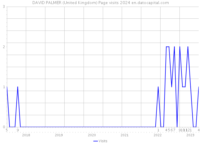 DAVID PALMER (United Kingdom) Page visits 2024 