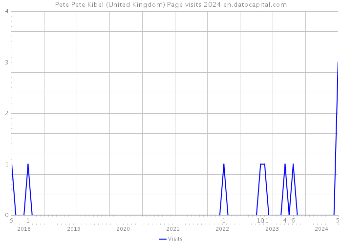 Pete Pete Kibel (United Kingdom) Page visits 2024 
