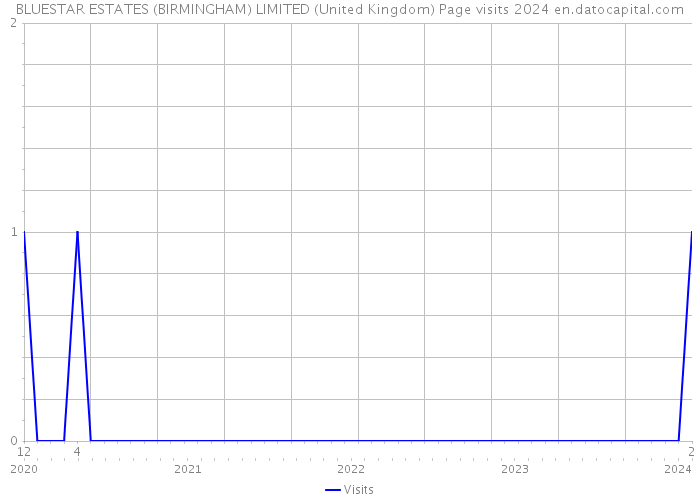 BLUESTAR ESTATES (BIRMINGHAM) LIMITED (United Kingdom) Page visits 2024 