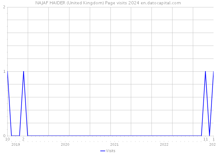 NAJAF HAIDER (United Kingdom) Page visits 2024 