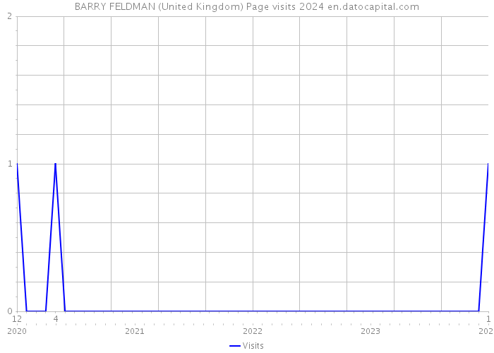 BARRY FELDMAN (United Kingdom) Page visits 2024 