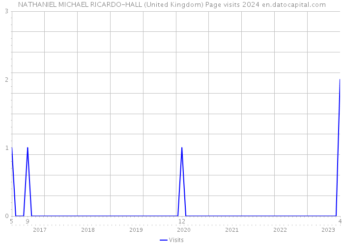 NATHANIEL MICHAEL RICARDO-HALL (United Kingdom) Page visits 2024 