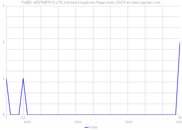 FLEEK AESTHETICS LTD (United Kingdom) Page visits 2024 