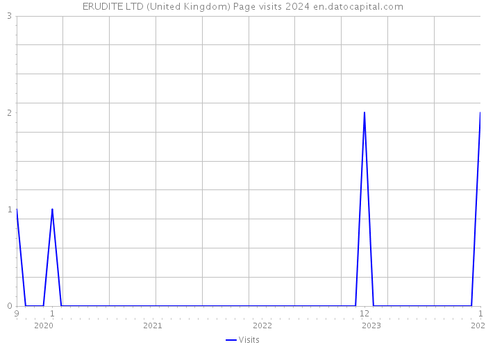 ERUDITE LTD (United Kingdom) Page visits 2024 