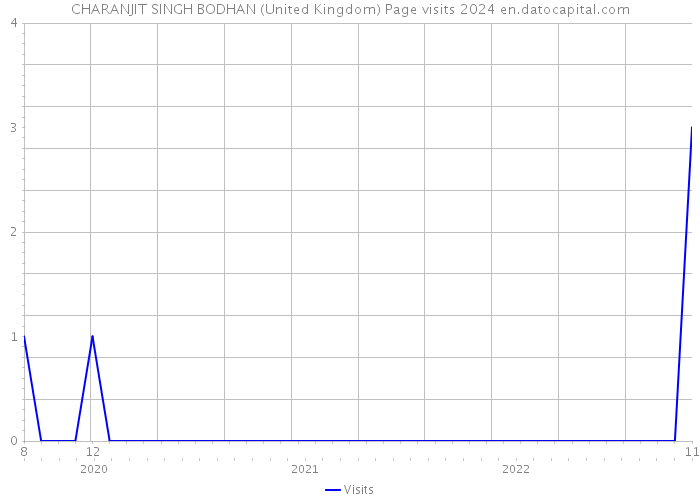 CHARANJIT SINGH BODHAN (United Kingdom) Page visits 2024 