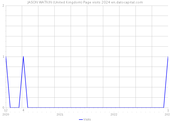 JASON WATKIN (United Kingdom) Page visits 2024 