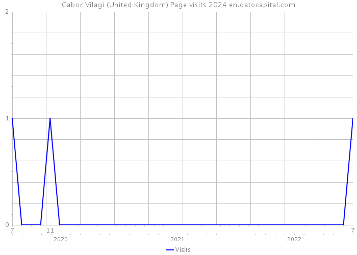 Gabor Vilagi (United Kingdom) Page visits 2024 