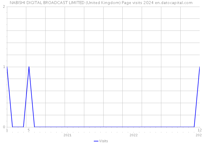 NABISHI DIGITAL BROADCAST LIMITED (United Kingdom) Page visits 2024 