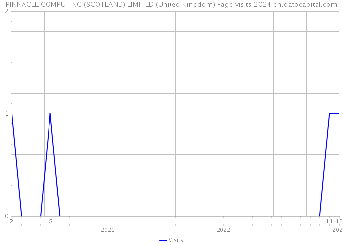 PINNACLE COMPUTING (SCOTLAND) LIMITED (United Kingdom) Page visits 2024 