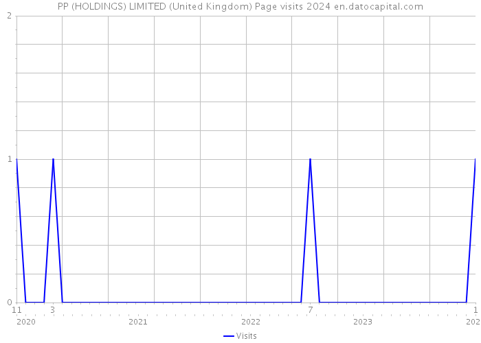 PP (HOLDINGS) LIMITED (United Kingdom) Page visits 2024 