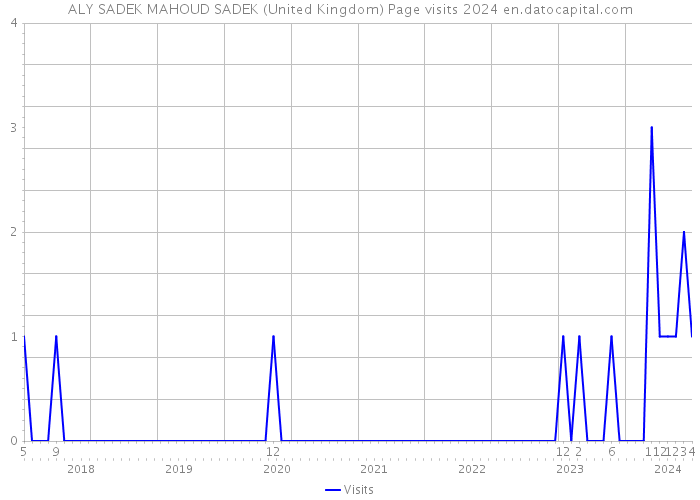 ALY SADEK MAHOUD SADEK (United Kingdom) Page visits 2024 