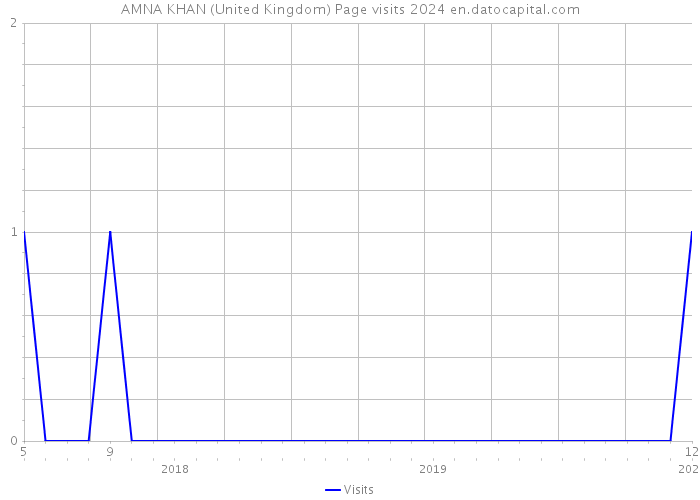 AMNA KHAN (United Kingdom) Page visits 2024 