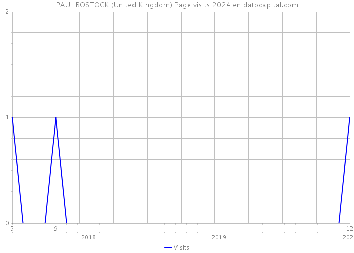 PAUL BOSTOCK (United Kingdom) Page visits 2024 