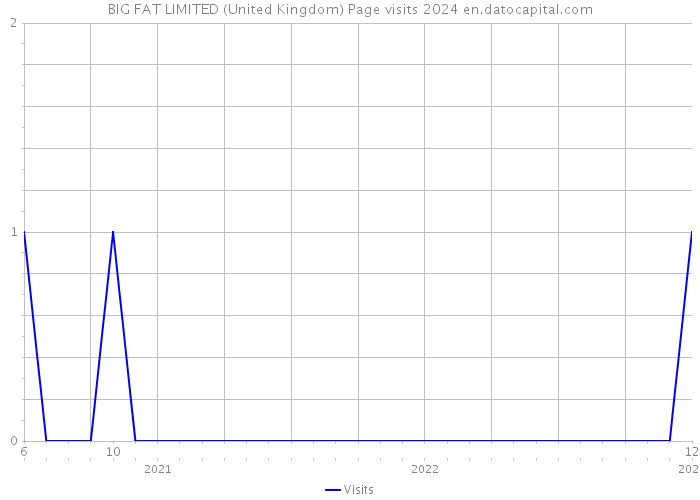 BIG FAT LIMITED (United Kingdom) Page visits 2024 