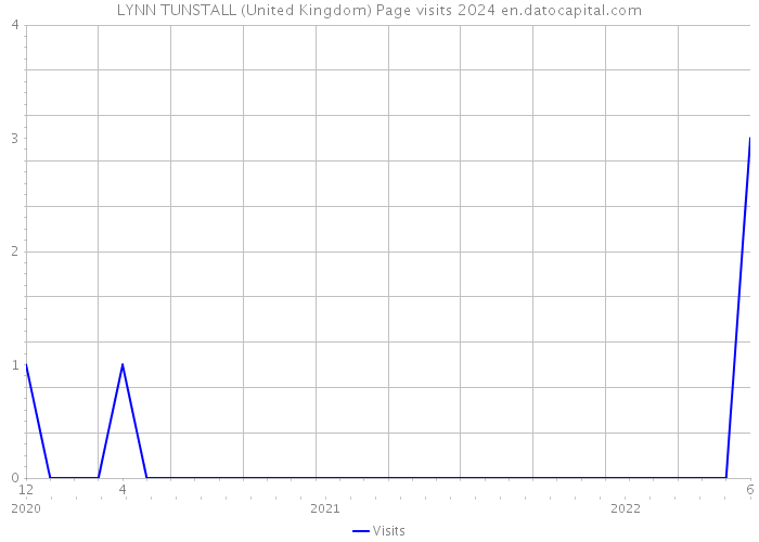 LYNN TUNSTALL (United Kingdom) Page visits 2024 