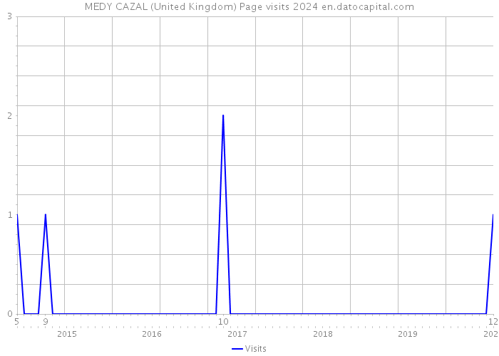 MEDY CAZAL (United Kingdom) Page visits 2024 