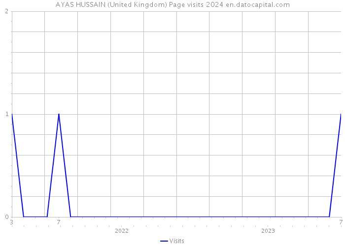 AYAS HUSSAIN (United Kingdom) Page visits 2024 