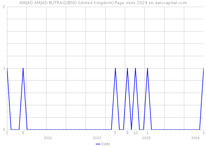 AMJAD AMJAD BUTRAGUENO (United Kingdom) Page visits 2024 