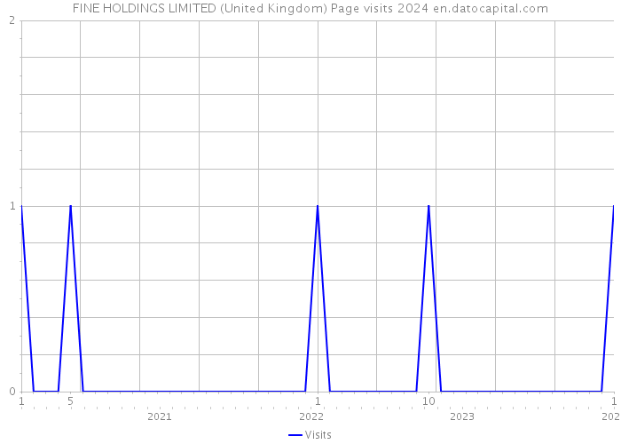 FINE HOLDINGS LIMITED (United Kingdom) Page visits 2024 