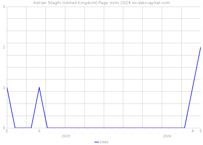 Adrian Silaghi (United Kingdom) Page visits 2024 