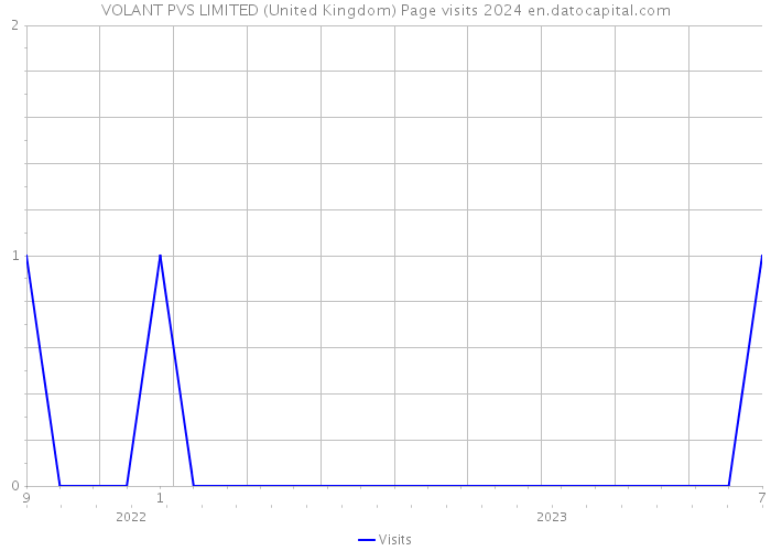 VOLANT PVS LIMITED (United Kingdom) Page visits 2024 