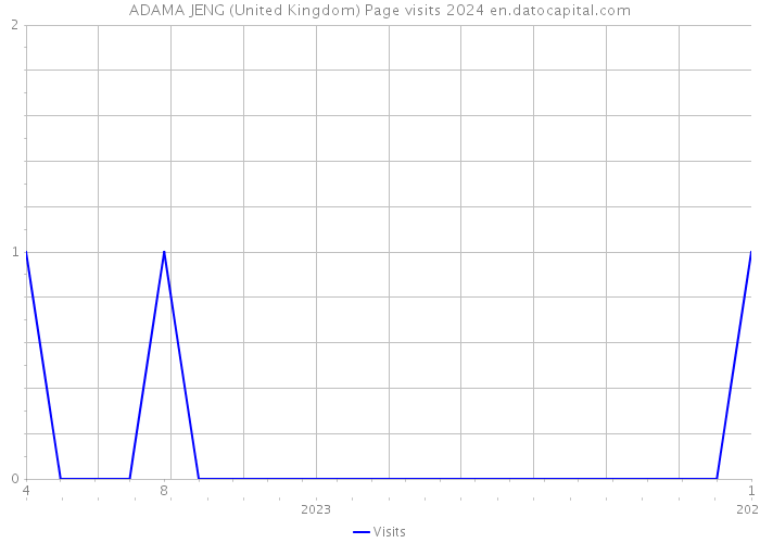 ADAMA JENG (United Kingdom) Page visits 2024 