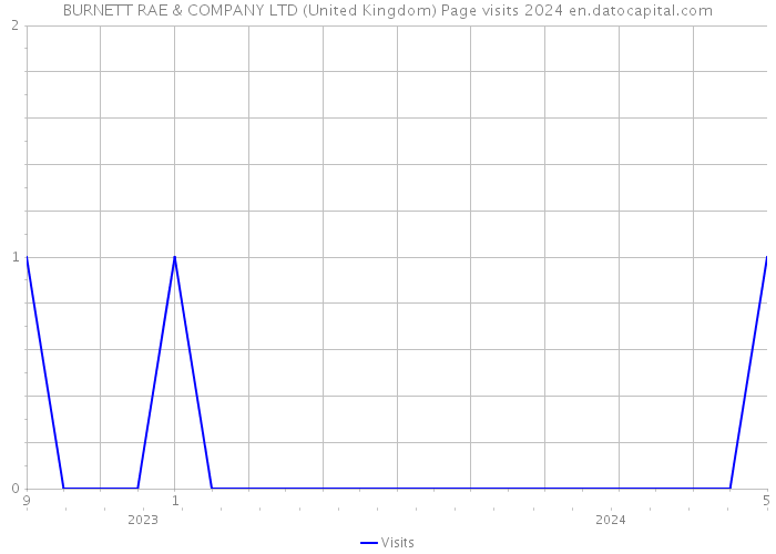 BURNETT RAE & COMPANY LTD (United Kingdom) Page visits 2024 