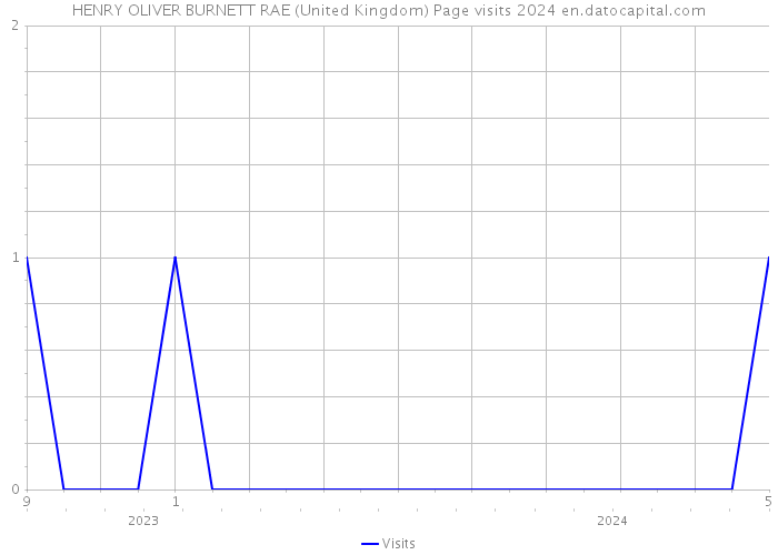 HENRY OLIVER BURNETT RAE (United Kingdom) Page visits 2024 