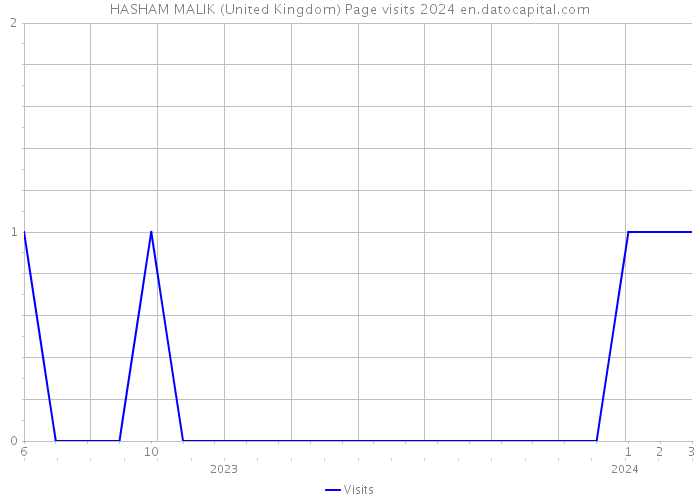 HASHAM MALIK (United Kingdom) Page visits 2024 