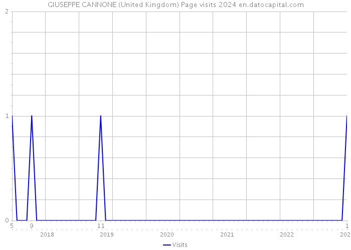 GIUSEPPE CANNONE (United Kingdom) Page visits 2024 
