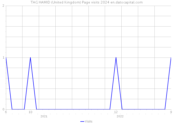 TAG HAMID (United Kingdom) Page visits 2024 