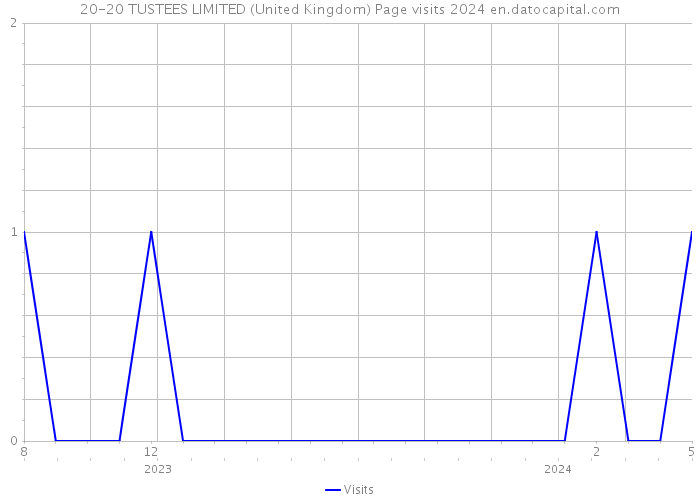 20-20 TUSTEES LIMITED (United Kingdom) Page visits 2024 