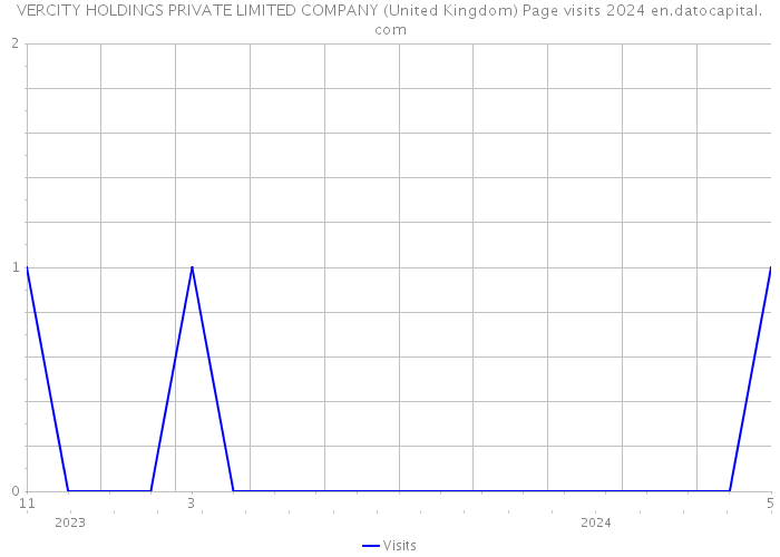 VERCITY HOLDINGS PRIVATE LIMITED COMPANY (United Kingdom) Page visits 2024 