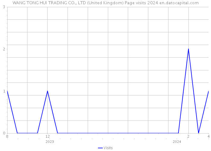 WANG TONG HUI TRADING CO., LTD (United Kingdom) Page visits 2024 