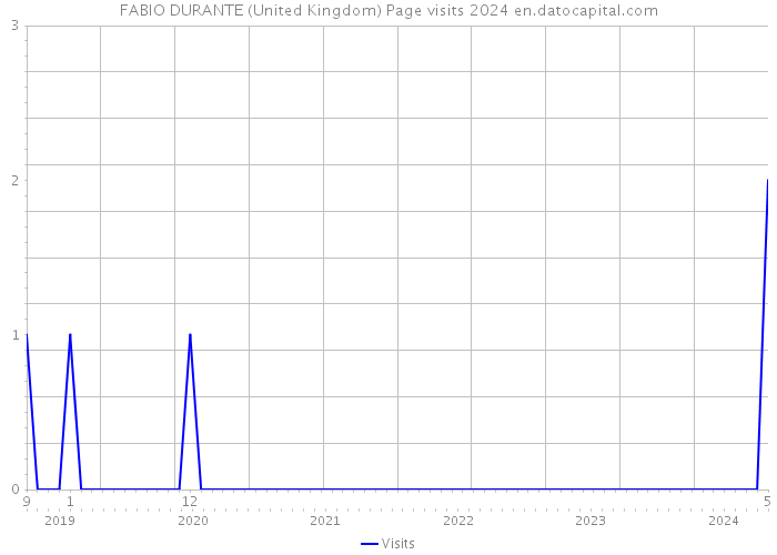 FABIO DURANTE (United Kingdom) Page visits 2024 
